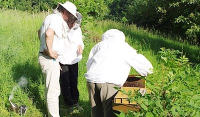Devenir Berger des Abeilles Devenez un bon Berger des Abeilles